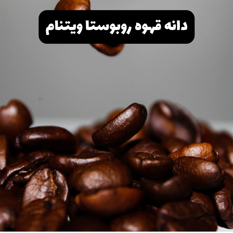 محصول قهوه روبوستا ویتنام