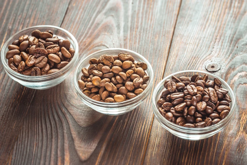 انواع دان قهوه