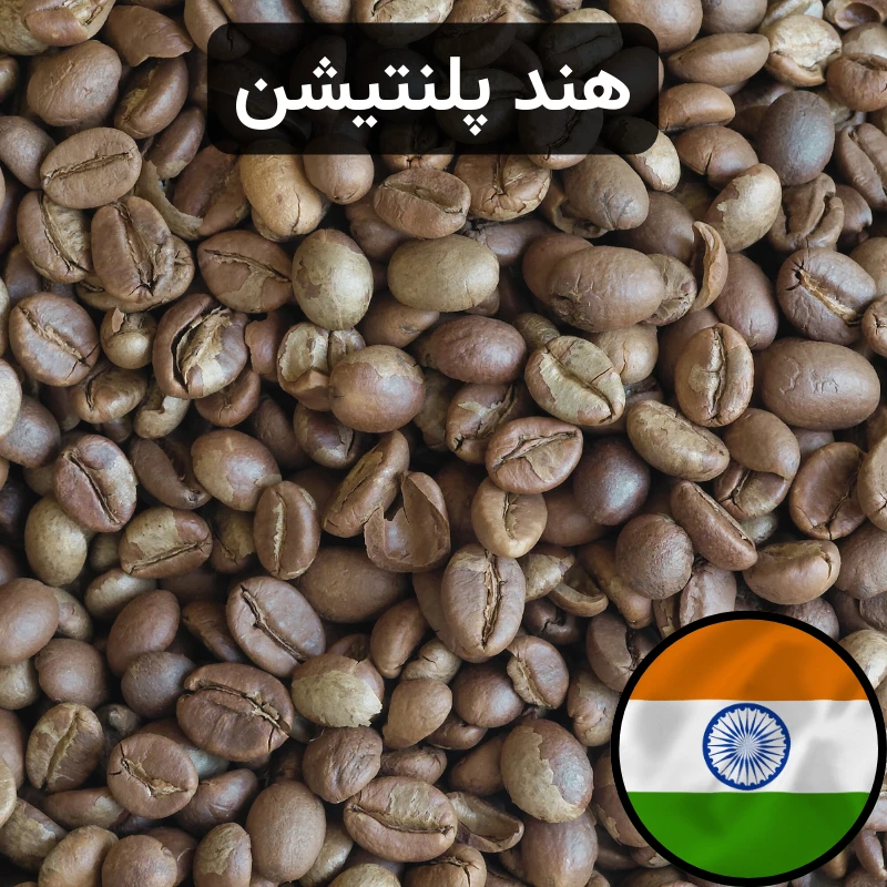 قهوه عربیکا هند پلنتیشن