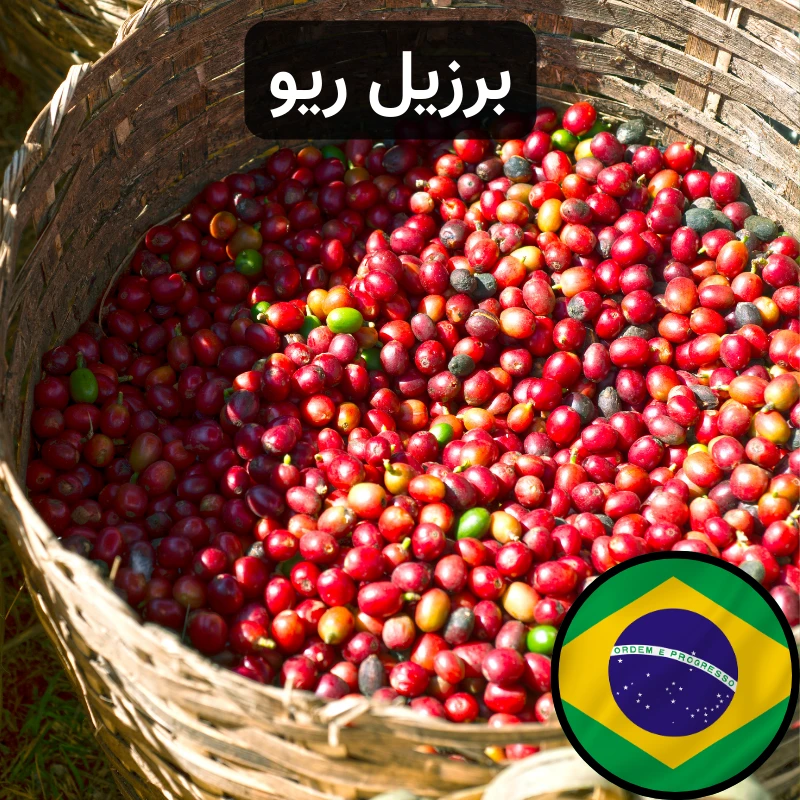 قهوه برزیل ریو