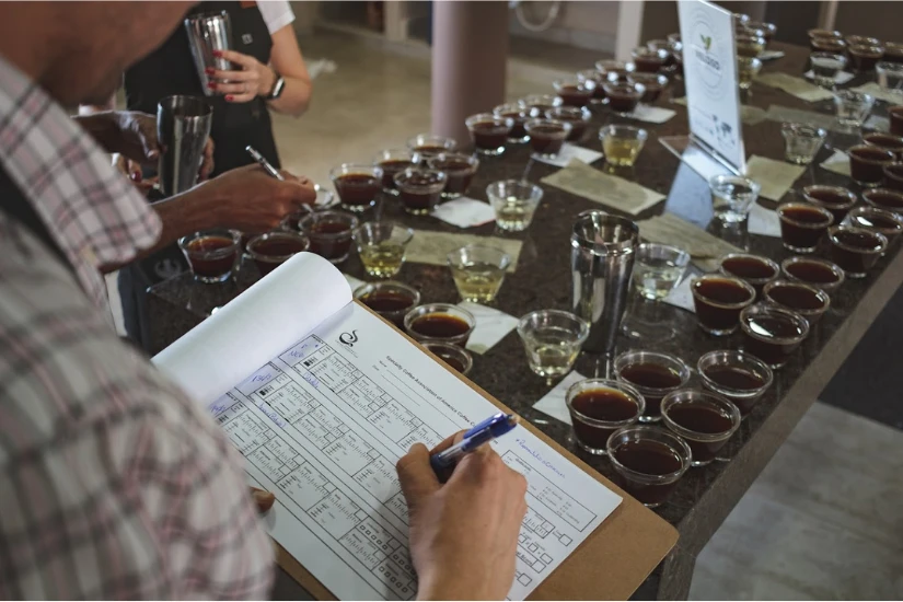 بررسی کیفیت قهوه تولید شده در یک مزرعه برزیلی