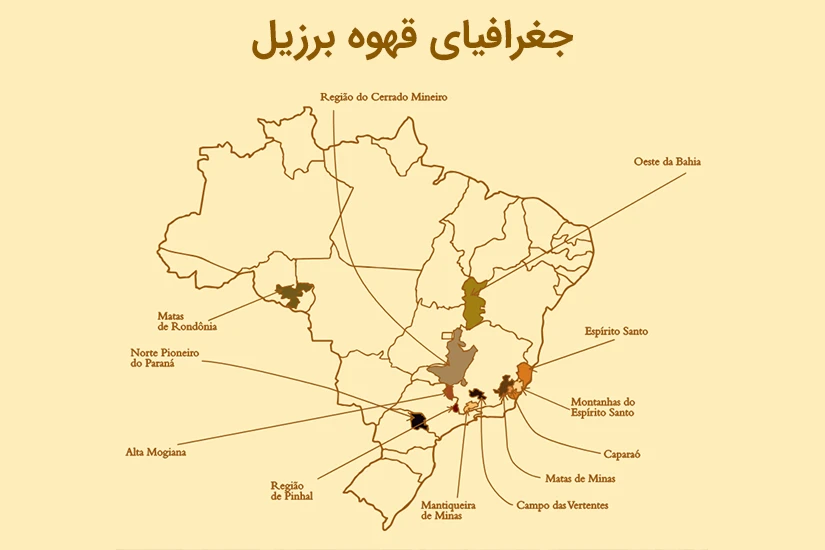 مناطق کشت قهوه در برزیل